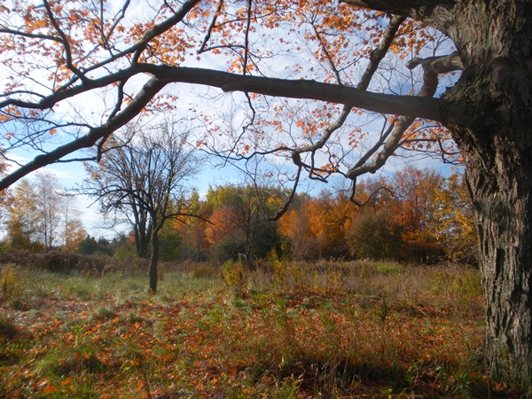 DSCN9984.JPG
