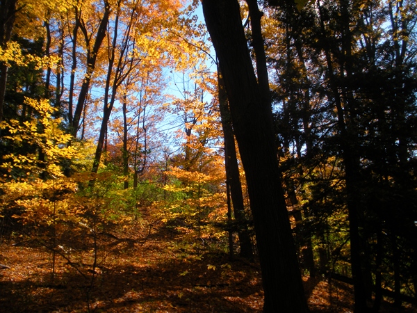 DSCN0098.JPG