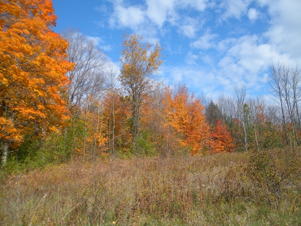 DSCN0103.JPG