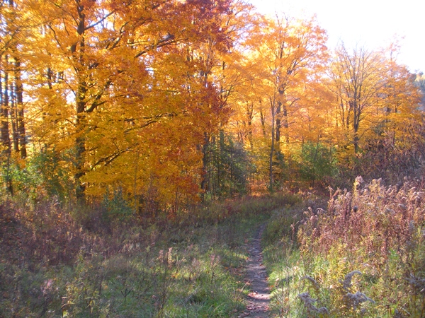DSCN0108.JPG