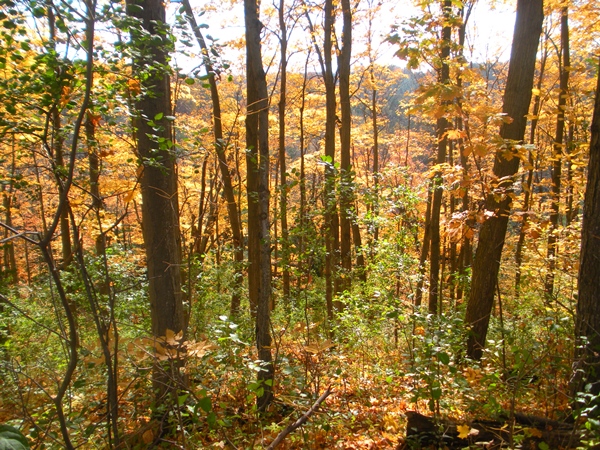 DSCN0110.JPG