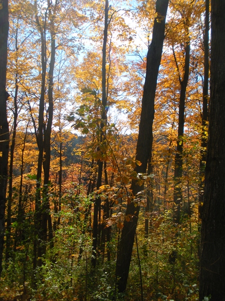 DSCN0114.JPG