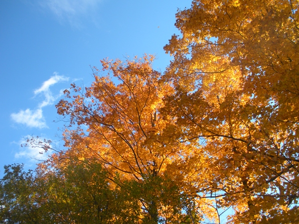 DSCN0119.JPG