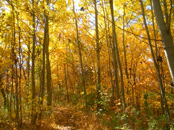 DSCN0135.JPG