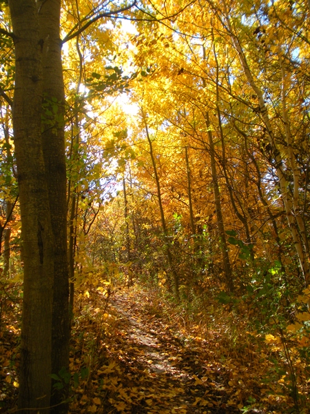 DSCN0136.JPG