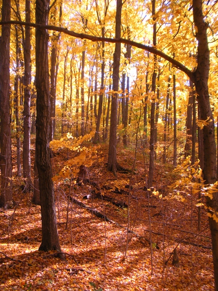 DSCN0073.JPG