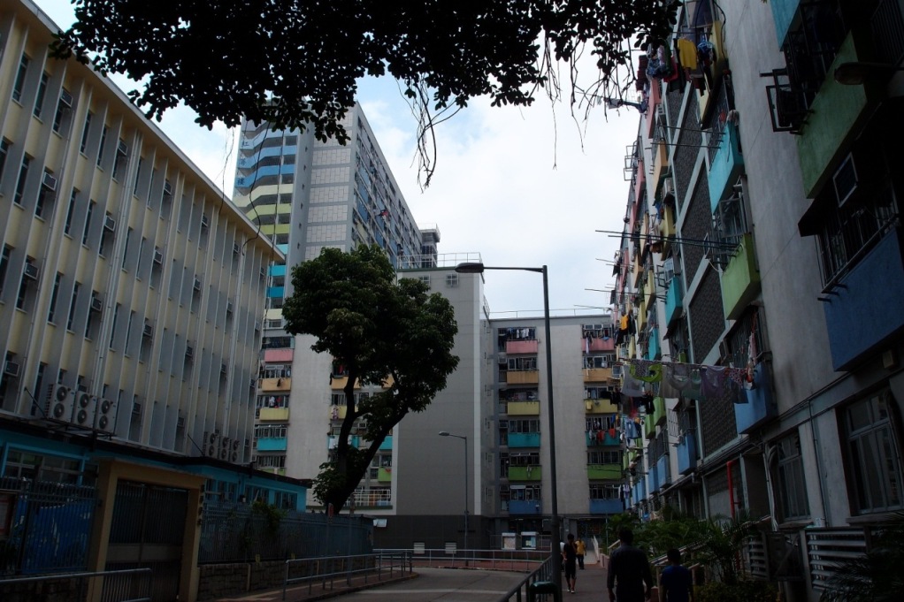 PA203046.JPG