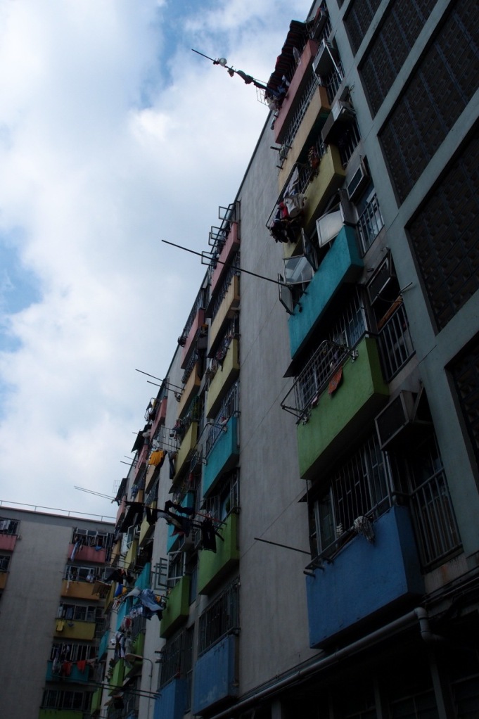 PA203047.JPG