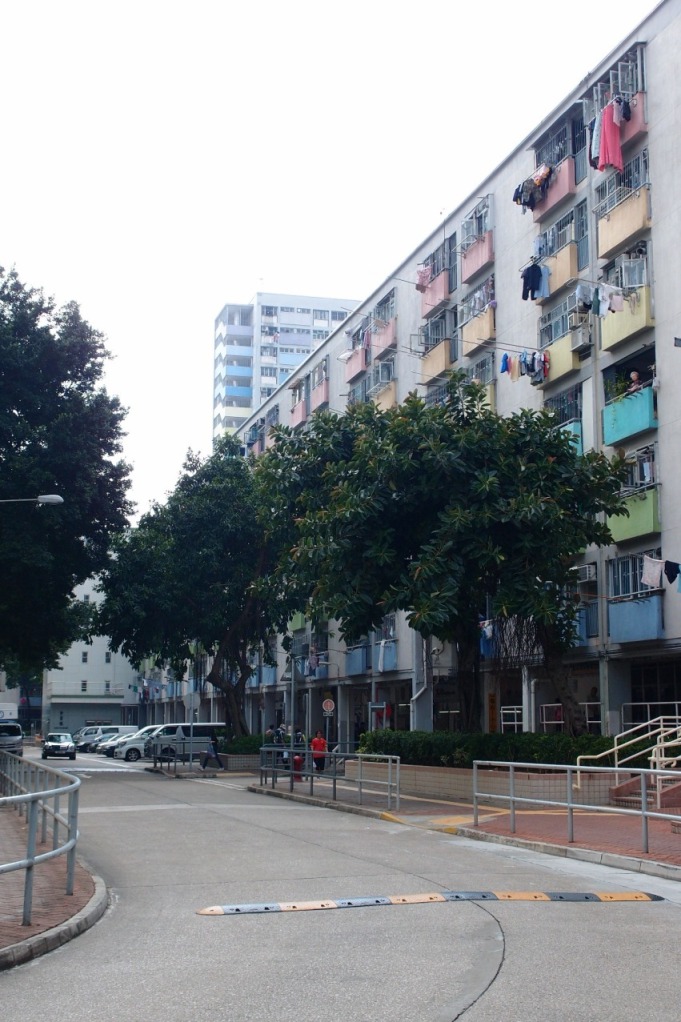 PA203050.JPG