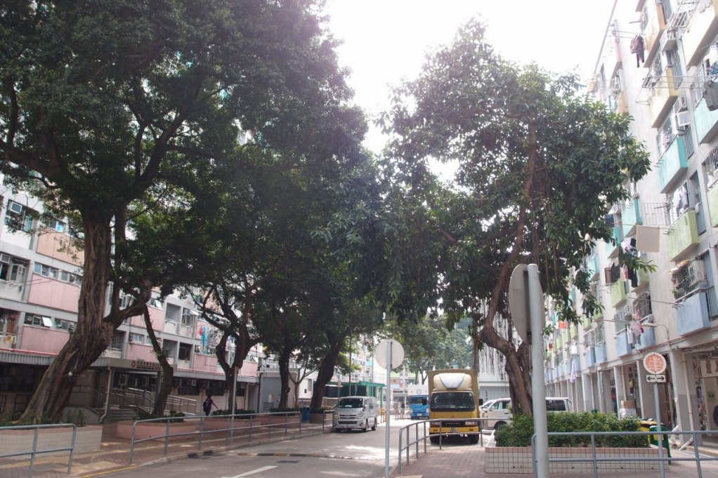 PA203054.JPG