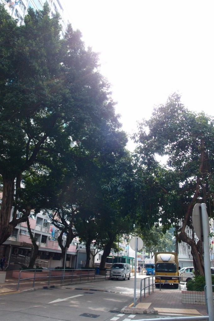 PA203055.JPG