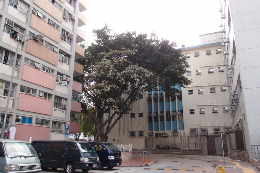 PA203089.JPG