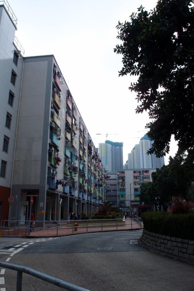 PA203090.JPG