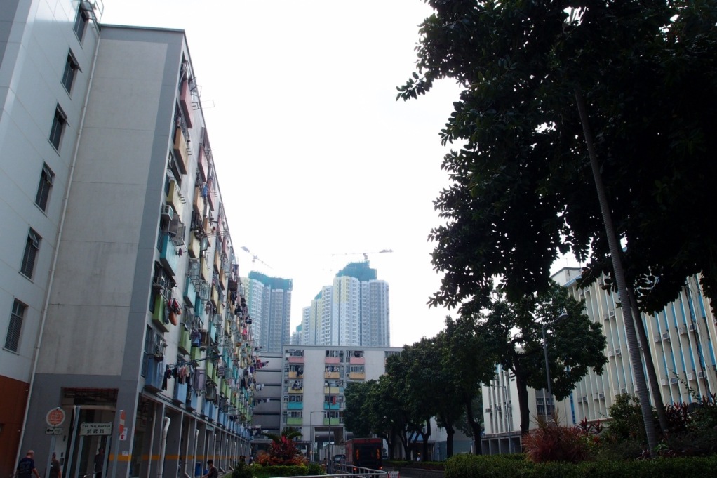 PA203093.JPG