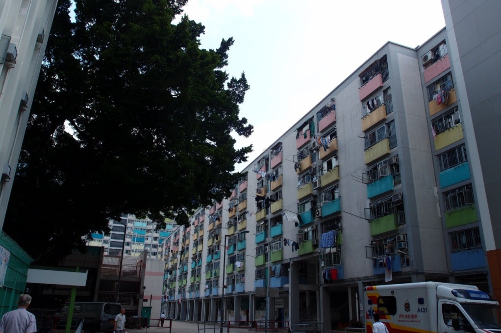 PA203095.JPG