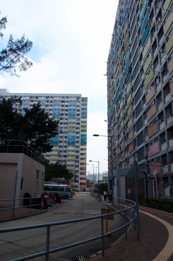 PA203111.JPG