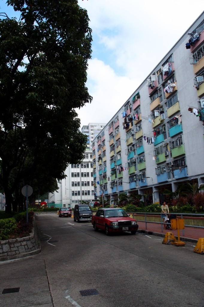 PA203117.JPG
