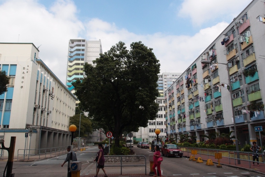 PA203129.JPG