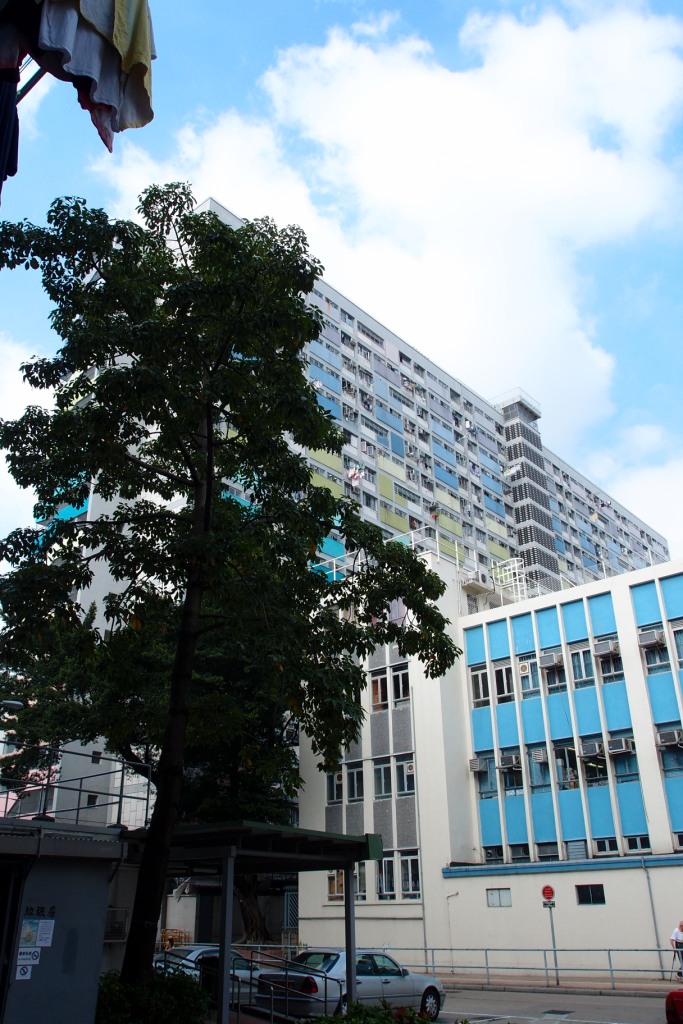 PA203133.JPG