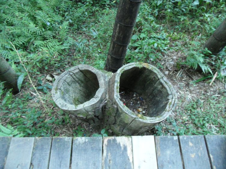 SAM_0449.JPG