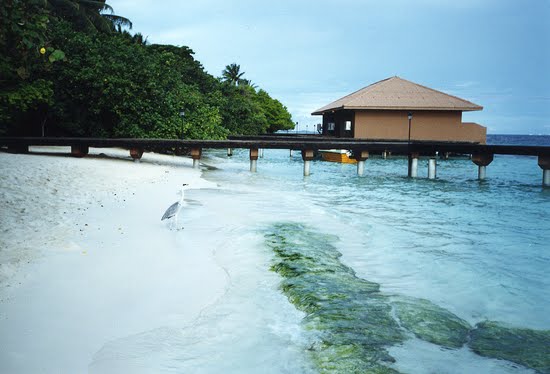 Male maldives wallpaper (2).jpg