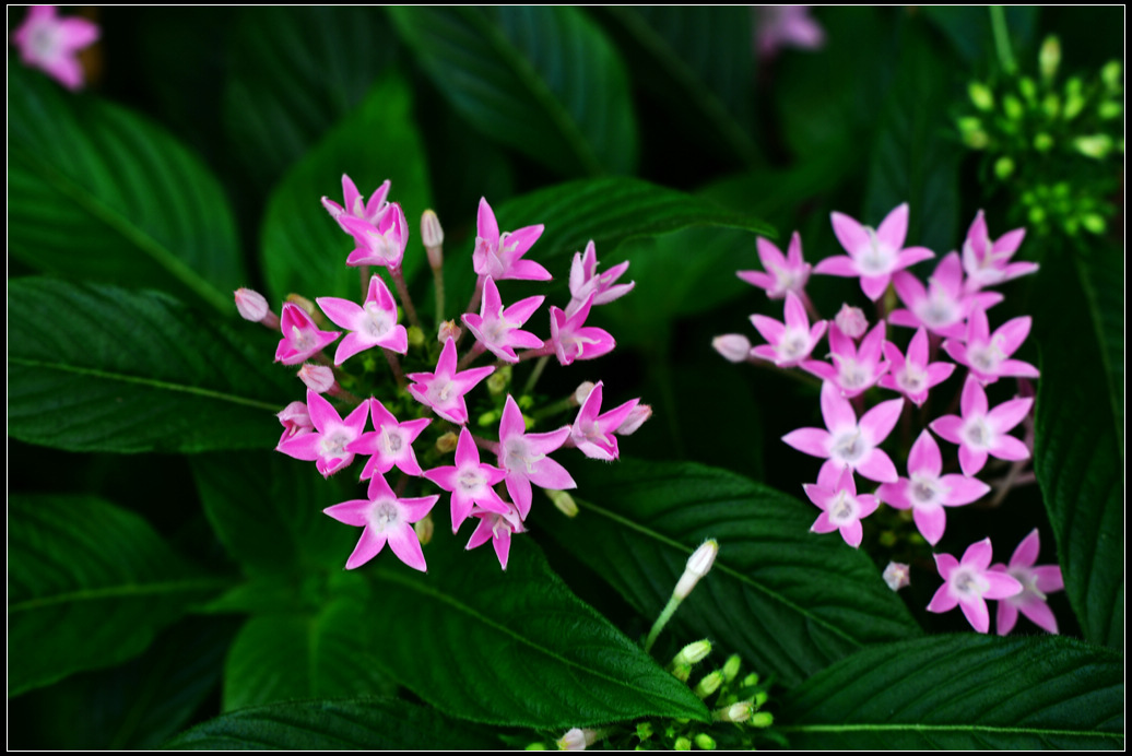 DSC_1201.jpg