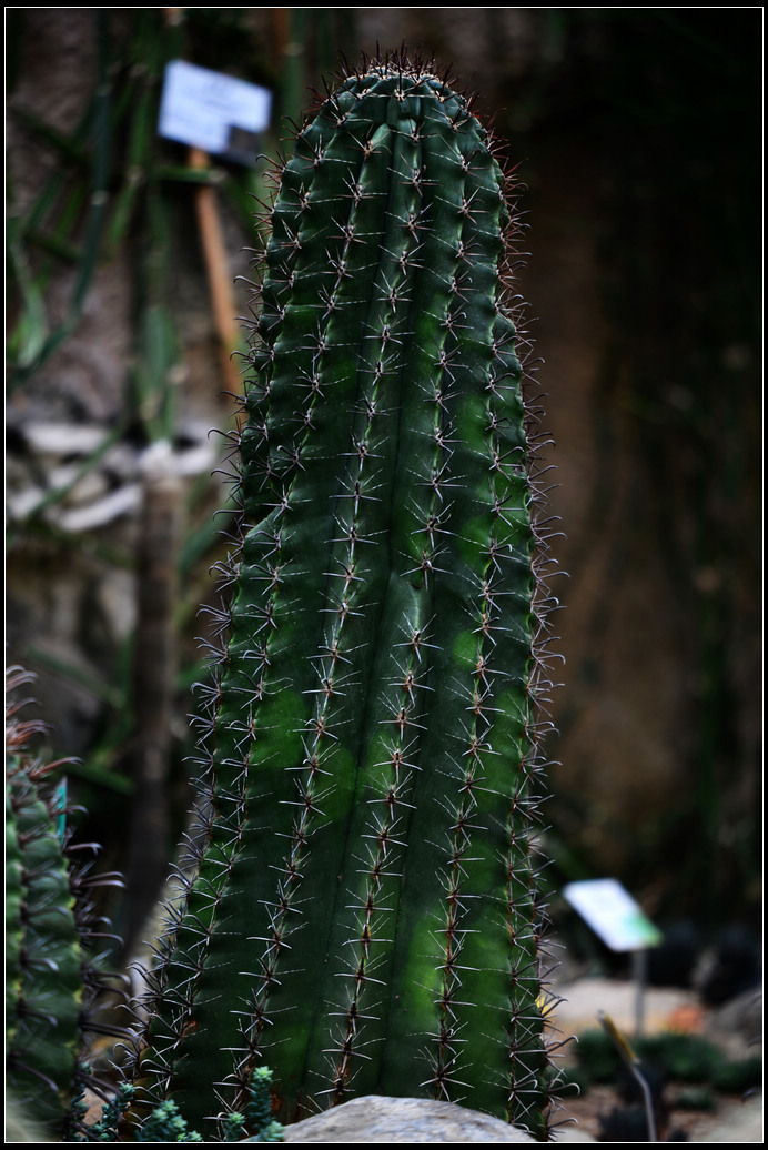 DSC_1213.jpg