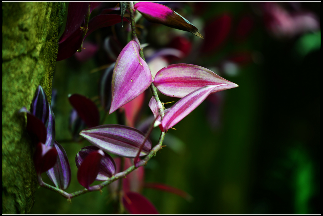 DSC_1220.jpg