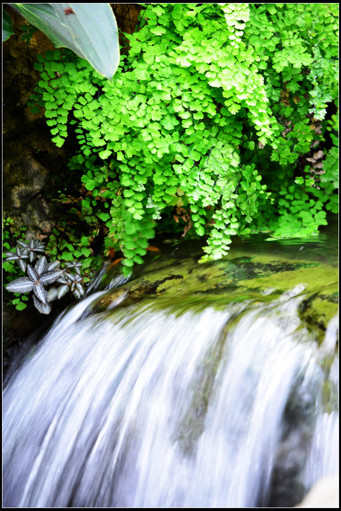 DSC_1235.jpg