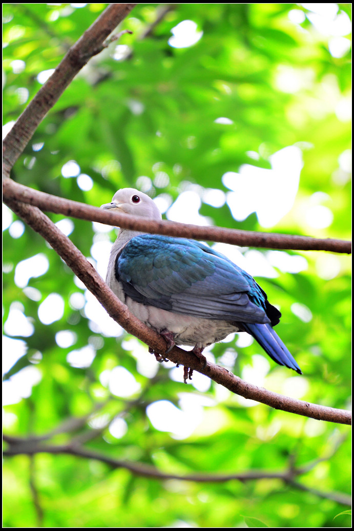 DSC_1362.jpg