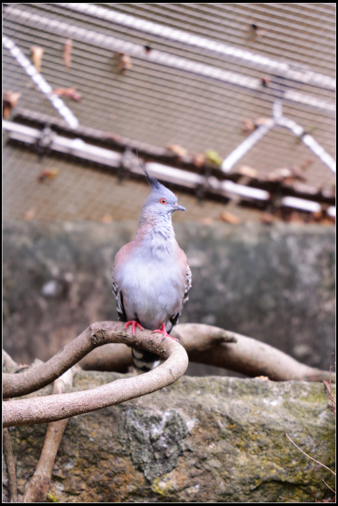 DSC_1365.jpg