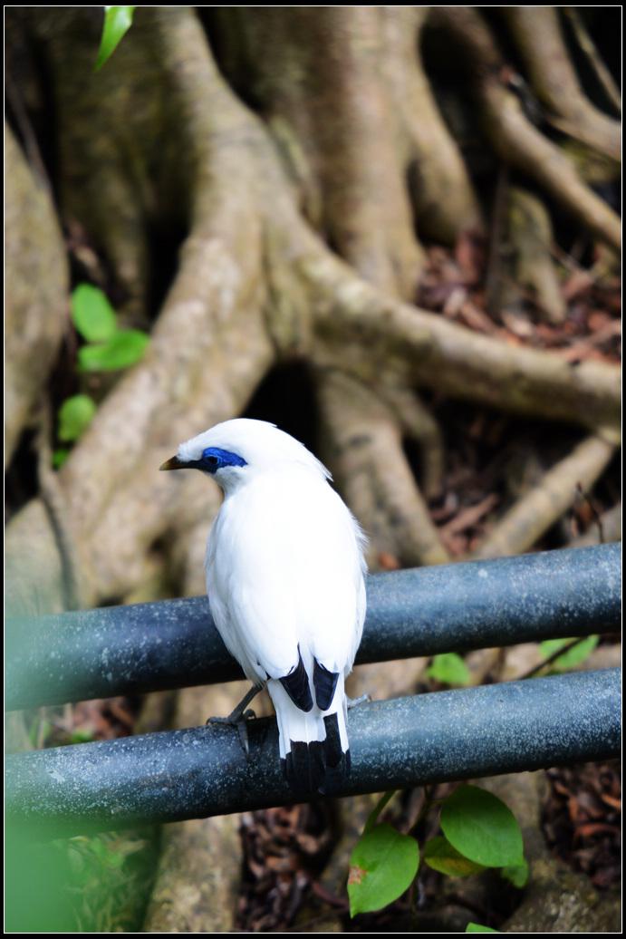DSC_1370.jpg