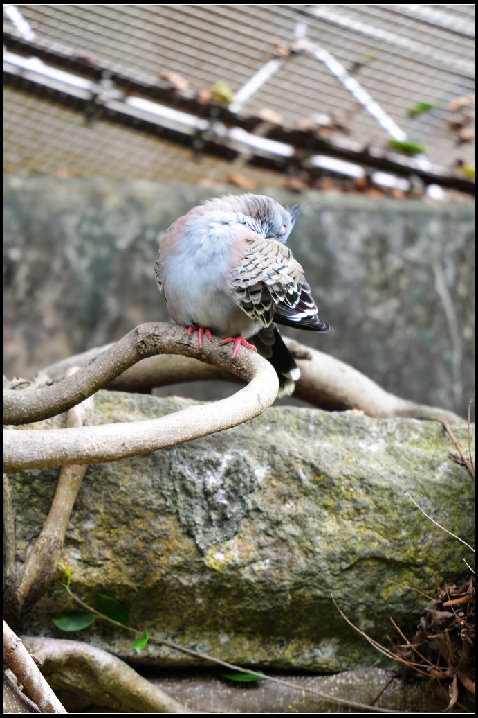 DSC_1371.jpg