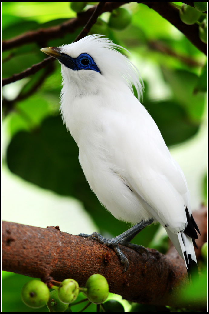 DSC_1415.jpg