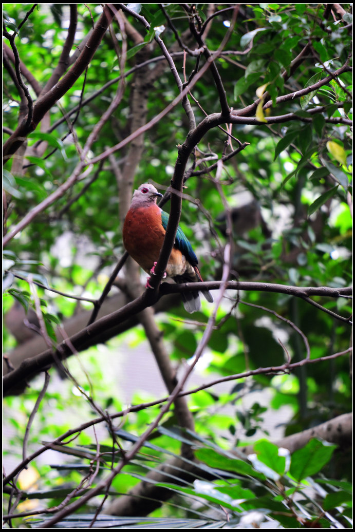 DSC_1388.jpg