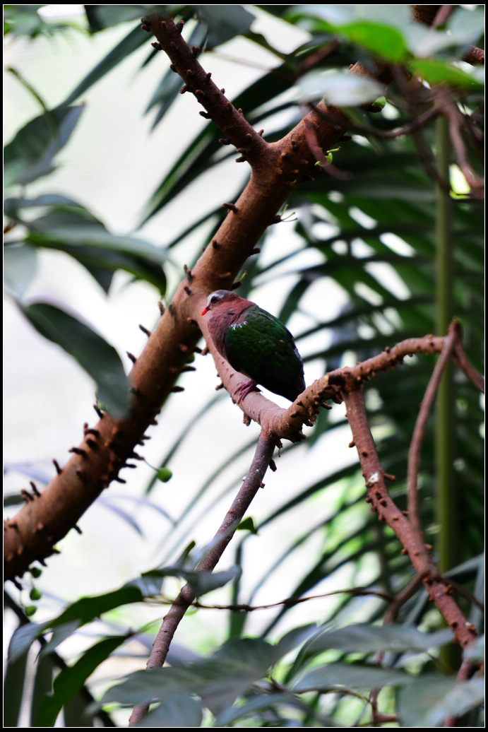 DSC_1394.jpg