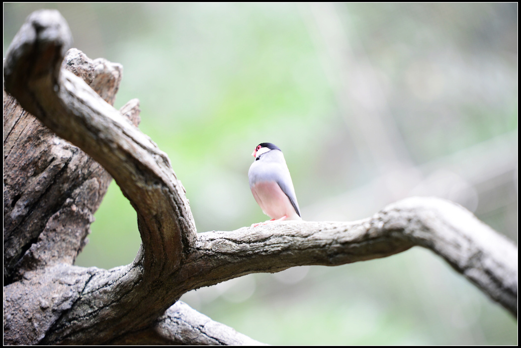 DSC_1407.jpg