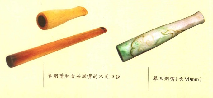 25029076_10.jpg