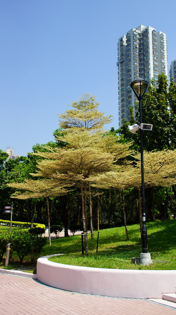 DSC05730.jpg