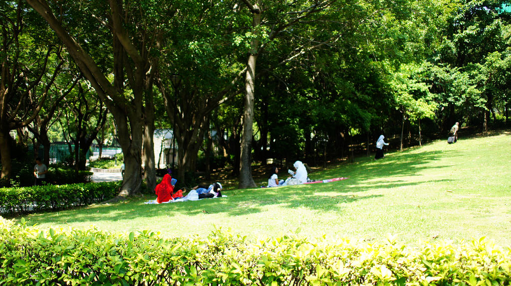 DSC05732.jpg