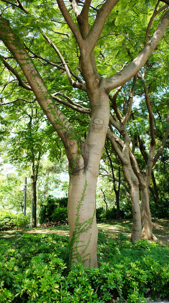 DSC05748.jpg