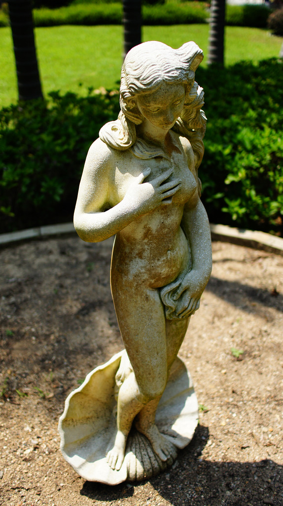 DSC05806.jpg