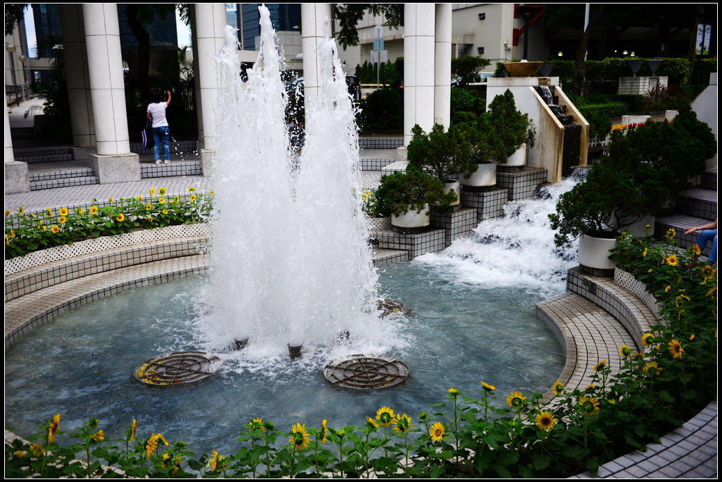DSC_1164.jpg