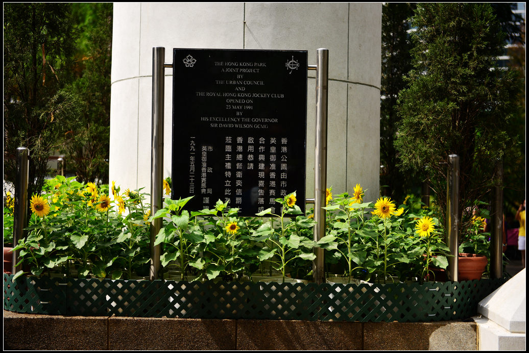 DSC_1170.jpg
