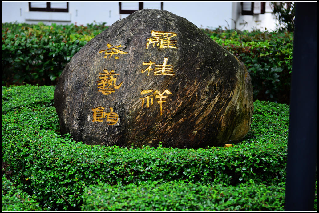 DSC_1515.jpg