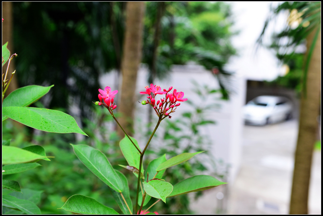DSC_1463.jpg
