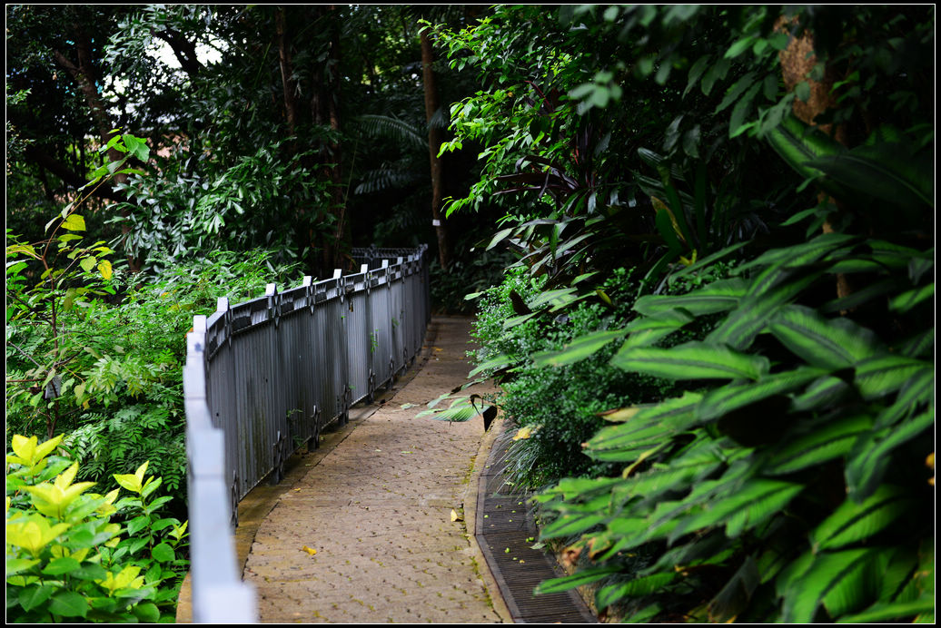 DSC_1466.jpg