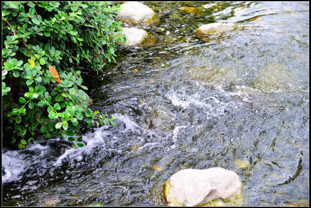 DSC_1484.jpg