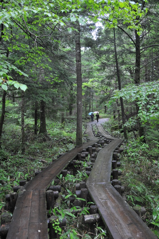 DSC_6347 (複製).JPG