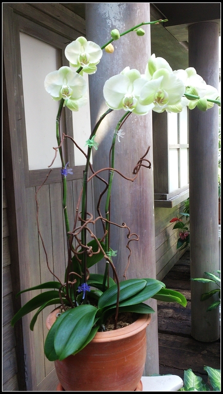 nEO_IMG_DSC_0152.jpg